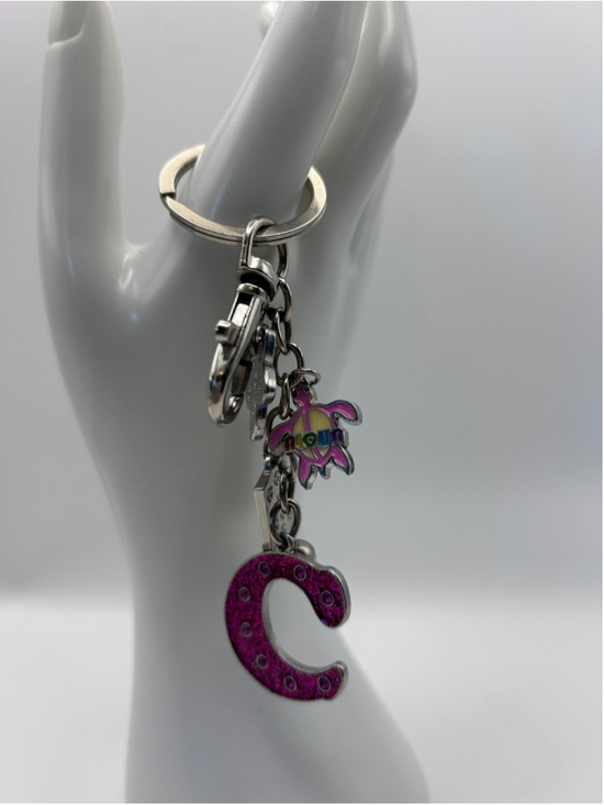 Unbranded Jewelry - Hawaii Horseshoe Rainbow Plumeria Charm Souvenir Keychain Pink Glitter Metal